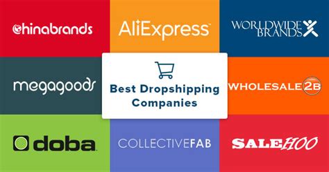 biggest dropshipping brands.